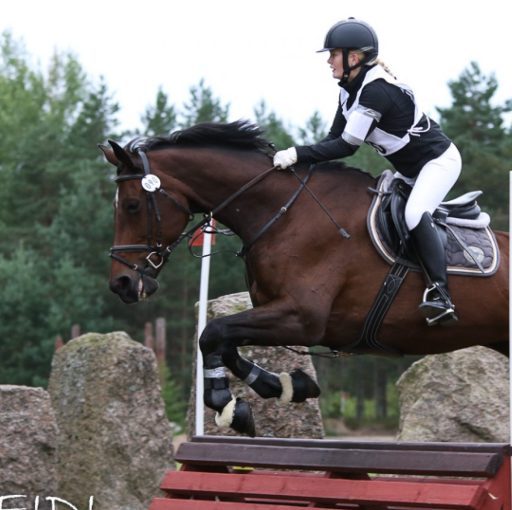 Tixu & Lepander